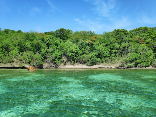 Martinique